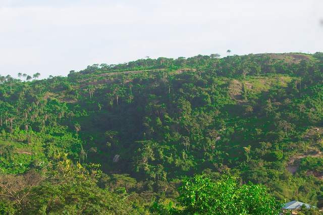 Boluwaduro Local Government Area